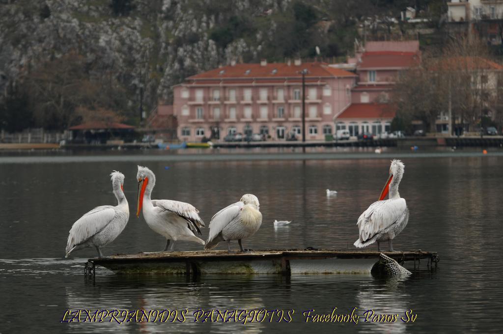 In Hotel Kastoria